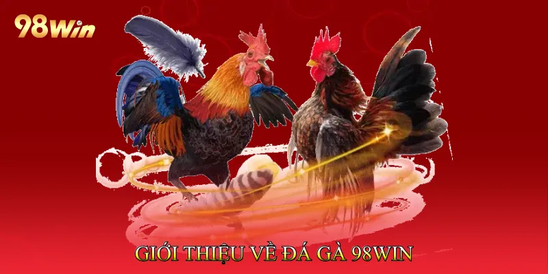 Giới thiệu về Đá gà 98Win